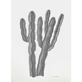 Sarah Vaaler Original Minimalist Desert Still Life Drawing For Sale