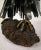 Metal Eagle Sculpture by J. van den Heuvel For Sale - Image 7 of 9