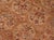 Shabby Chic 1990's Pak-Persian Taupe/Green Wool Rug - 6'1'' X 9'0'' For Sale - Image 4 of 9