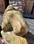 Celadon Late 20th Century Carved Hardstone Reclining Horse Sculptures on Organic Wood Bases - a Pair For Sale - Image 8 of 13