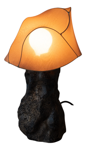 A Little Desert Soul Lamp by Vincent Decat