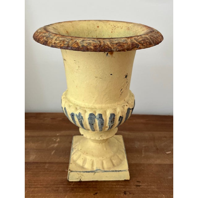French Mid-Century Petite Cast Iron Medici Style Garden Urn in Pale Buttercup Yellow For Sale - Image 3 of 12