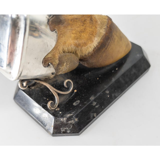 19th Century English Sterling Silver Mounted Deer Hoof Hunting Trophy For Sale - Image 12 of 13