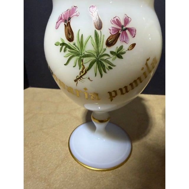 Exquisite Pair of Vintage Botanical Opaline Glass Lidded Candle Vessels by Antique Flames Enhance your home decor with...