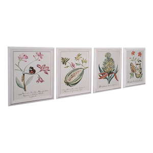4 Vintage Botanical Pictures, Framed Print, Plant Illustrations, Natural Art
