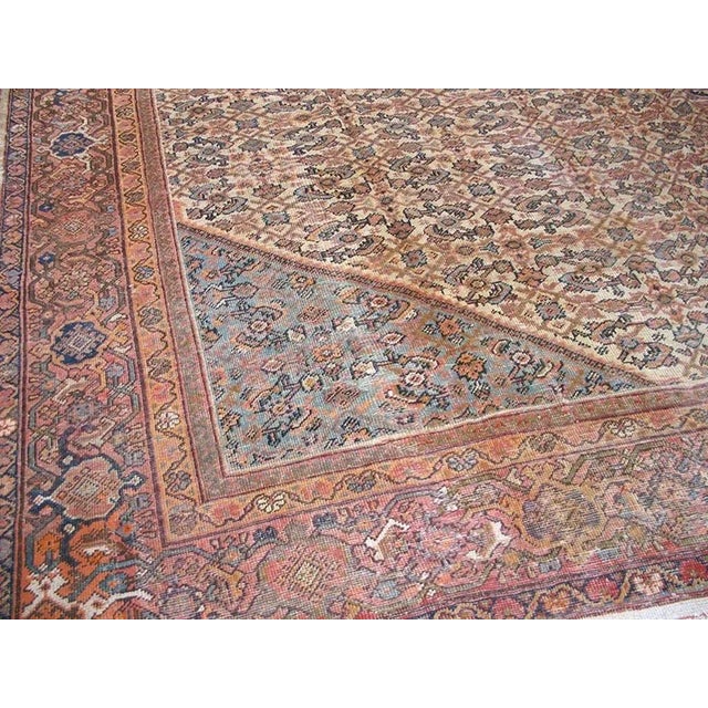 Early 20th Century Persian Mahal Carpet ( 11'10" x 16' - 360 x 488 ) For Sale - Image 4 of 8