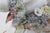 Porcelain English Derby Style Cherub With Grapes Figurine 9777 Signed Rp 4963b For Sale - Image 12 of 18