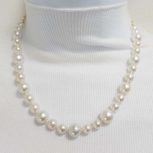 Metal White Pearl Round Toggle Necklace in 14k Yellow Gold For Sale - Image 7 of 9
