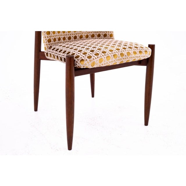 Czechoslovakian Chairs, 1950s, Set of 4 For Sale - Image 9 of 11