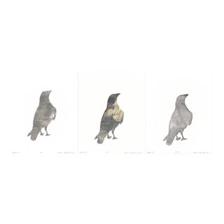 Raven 06-08-09, Set of 3 8*10 Original Abstract Paintings by Carrie Bergey, White Black Grey Buff For Sale