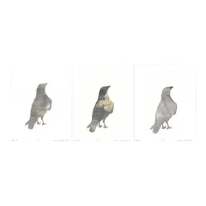Raven 06-08-09, Set of 3 8*10 Original Abstract Paintings by Carrie Bergey, White Black Grey Buff