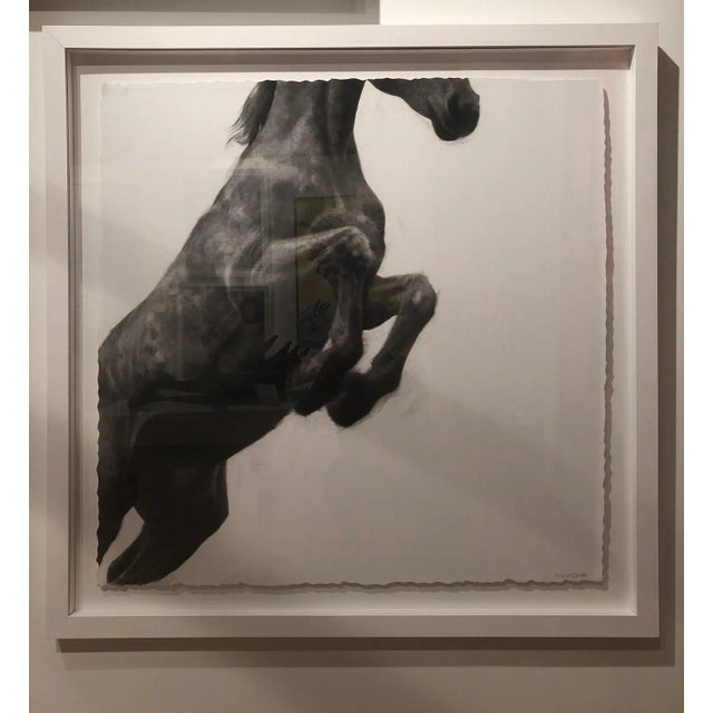 Charcoal Puissance, Horse Drawing, Charcoal and Graphite on Fabriano Paper, 2016 For Sale - Image 8 of 9