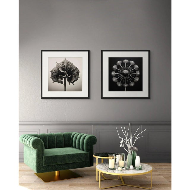 2020s # 20' X 20' 'Asplenium Scolopendrium' Flower - Black and White Limited Edition Botanical Photograph Print, Organic Modern, Unframed For Sale - Image 5 of 5