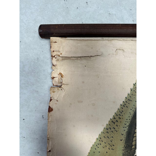 Vintage Periodic Table of the Elements School Chart in Linen by Paul Pfurtscheller, 1920s For Sale - Image 10 of 14