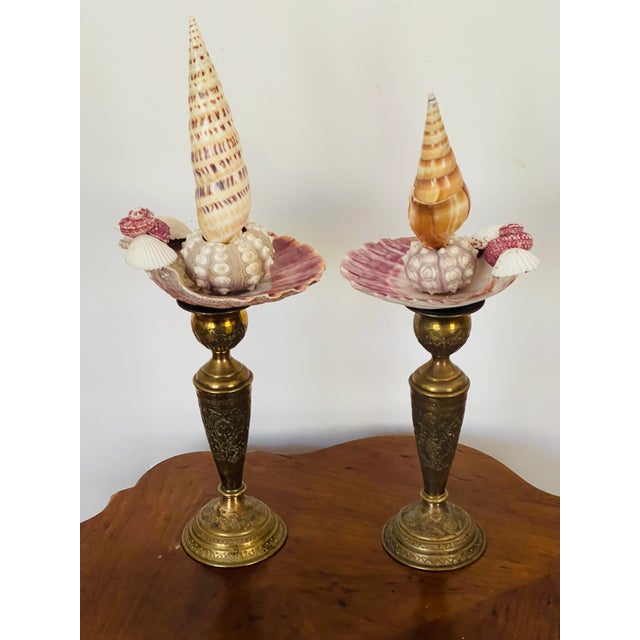 Coastal Antique Sea Shells Assemblage Art For Sale - Image 3 of 5