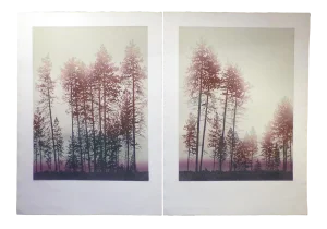 1980s "Backlight III & IV" Landscape Etchings by Catherine O'Connor - a Pair