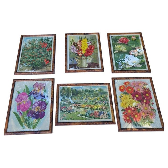 British Botanical Prints, 1930, Paper, Framed For Sale - Image 9 of 9