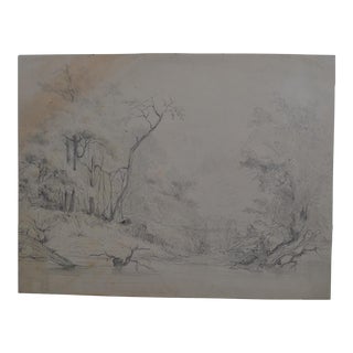 French School of the 20th Century. Pencil Drawing “tree Landscape” For Sale
