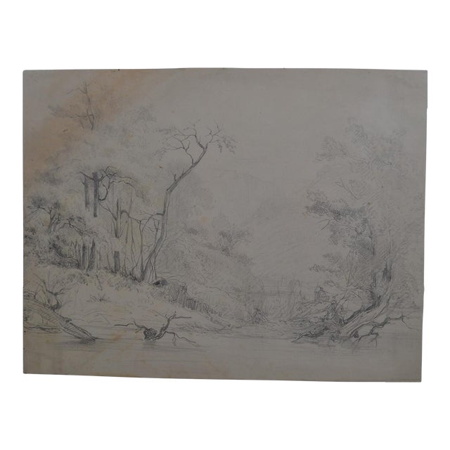 French School of the 20th Century. Pencil Drawing “tree Landscape” For Sale