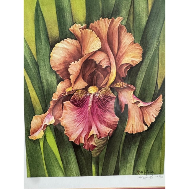 Manabu Saito Limited Edition Iris Botanical Floral Prints Signed Set of 2 Framed For Sale - Image 9 of 12