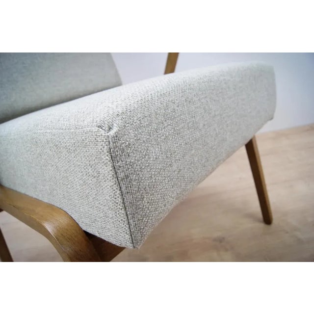 Armchair by Selman Selmanagic for Veb Deutsche Werkstätten Hellerau, 1950s For Sale - Image 6 of 7