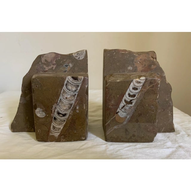 Dark Gray Vintage Natural Limestone With Fossils Bookends - a Pair For Sale - Image 8 of 8