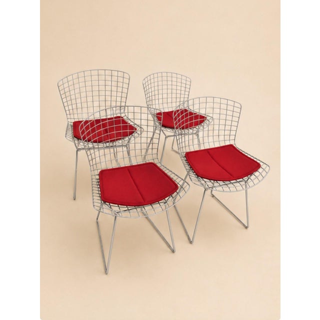 Mid-Century Modern Wire Chairs by Harry Bertoia for Knoll Int., 1970s, Set of 4 For Sale - Image 3 of 9