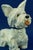 Art Nouveau Sculpture of a Fox Terrier Dog in Ceramic by Ida Meisinger for Goldscheider, Austria, Early 1900s For Sale - Image 15 of 18
