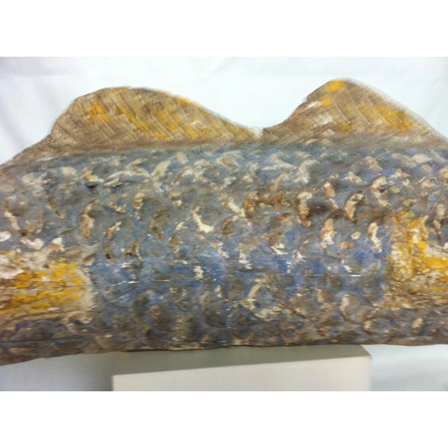 Wood Early 20th Century Lucky Fish Carving For Sale - Image 7 of 13