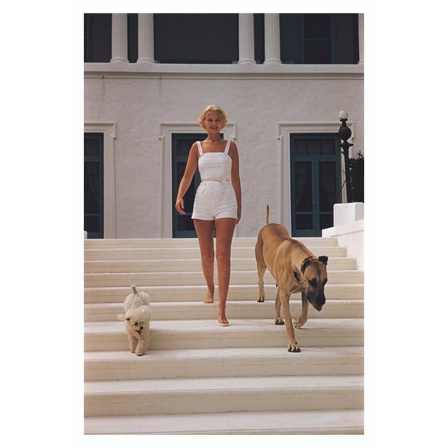 C.Z. Guest 1955 American socialite Mrs. Winston F. C. Guest (aka C. Z. Guest, 1920 – 2003) with a poodle and a Great Dane...