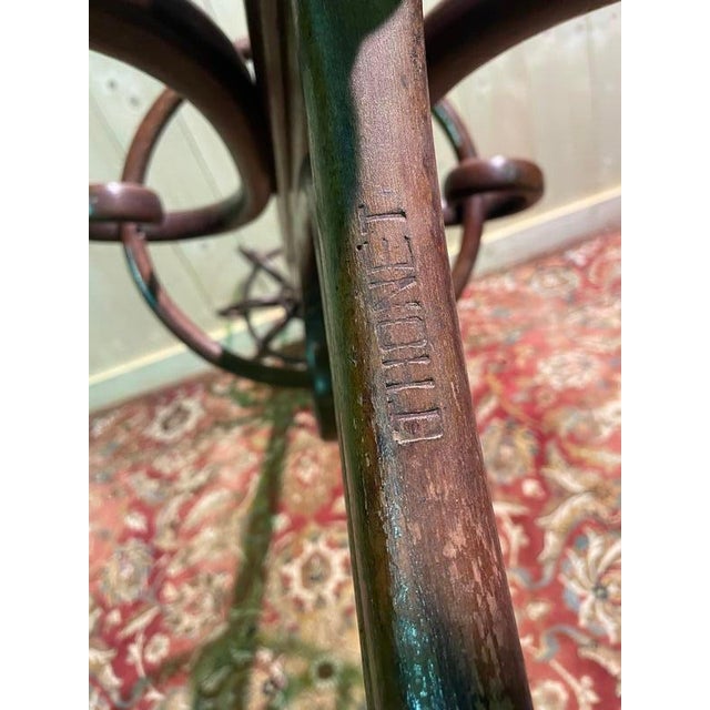 Coat Rack Parrot from Thonet For Sale - Image 4 of 7