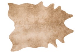 Example of New & Custom Transitional