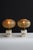 Early 20th Century Piero Chiesa Style Lamps - a Pair For Sale - Image 9 of 11