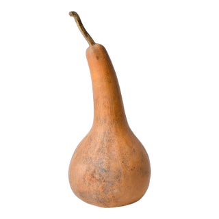 Early 20th Century Calabash Shaker Gourd Asante Nigeria For Sale