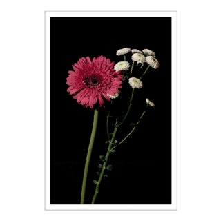 2021 "Pink and White Delicate Flowers" Baroque Style Giclée Print by Kind of Cyan For Sale
