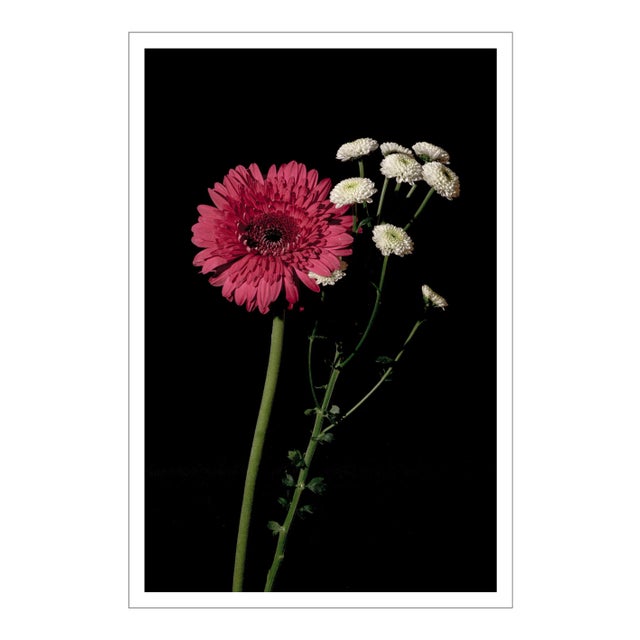 2021 "Pink and White Delicate Flowers" Baroque Style Giclée Print by Kind of Cyan For Sale
