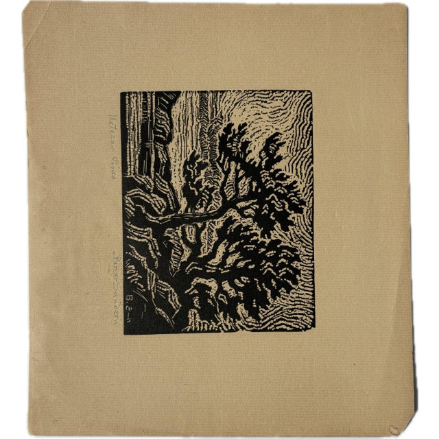 1920s Veteren Pines by Berger Sandzen. 1928 Original Woodcut (Nail Cut) Lithograph. For Sale - Image 5 of 7
