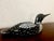 Loon Carving L. L. Bean Vintage Stunningly Exquisite Waterfowl Wooden Decorative Decoy Folk Art Statue "Mint" Excellent Condition For Sale - Image 17 of 18
