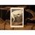 1990s Whooping Crane After Audubon, Large Cottage Print For Sale - Image 11 of 12