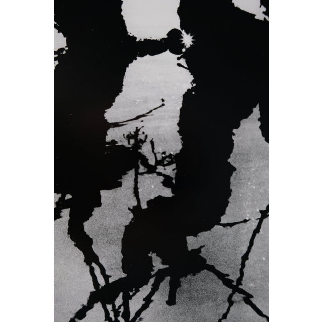 Lucien Clergue, Le Marais d'Arles, Etching For Sale - Image 4 of 6