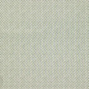 Sister Parish Burmese Fabric in Fern