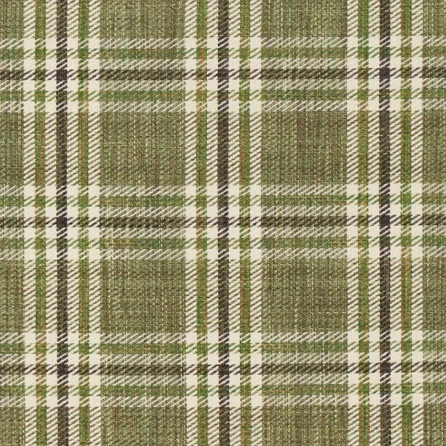 Farmhouse Schumacher Mariga Fabric in Green For Sale - Image 3 of 4