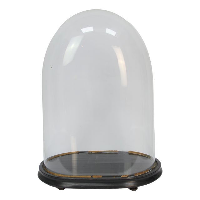 Napoleon III Glass Dome For Sale