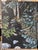 The Exuberance of Nature Revealed by Deb Komitor | Oil on cradle board Stream and foliage scene. For Sale - Image 4 of 5