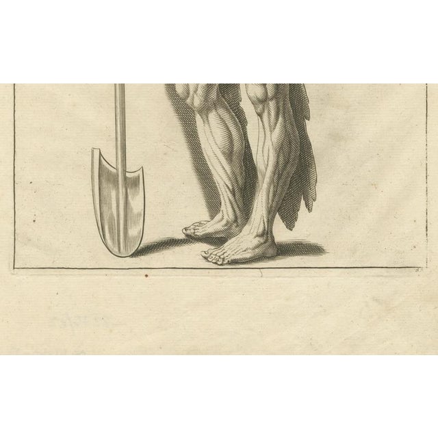 Anatomical Muscle Figure with Shovel, 1745, Paper For Sale - Image 3 of 10