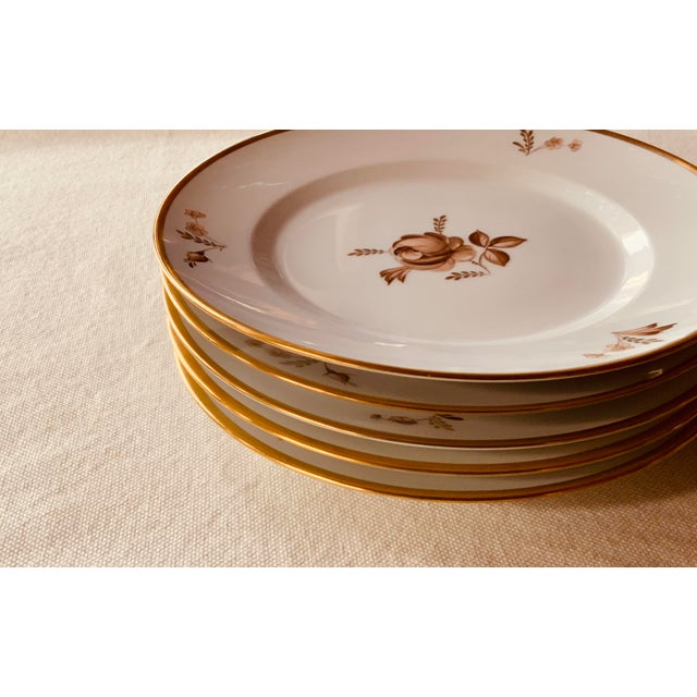Mid-Century Modern Royal Copenhagen Brown Rose Hand-Painted Porcelain 10" Dinner Plates Set of 6 For Sale - Image 3 of 12