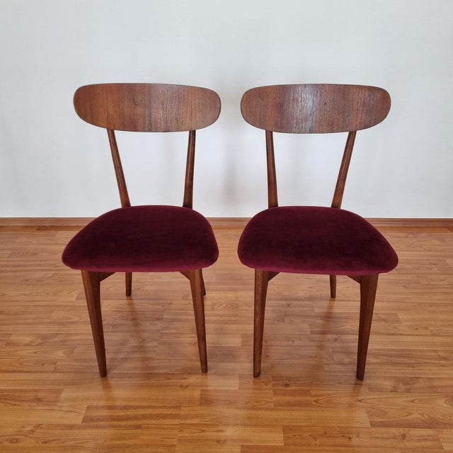 Mid-Century Italian Dining Chairs, 1960s, Set of 6 For Sale - Image 12 of 14