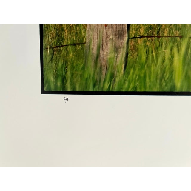 Realism Maxwell Mackenzie, School, Summer Landscape, Large Panoramic Vintage Color Photograph Signed Photo, 1992 For Sale - Image 3 of 8