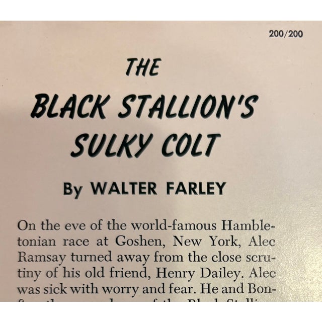 1950s Set of Four Rare First Edition Books From the Black Stallion Series by Walter Farley For Sale - Image 11 of 15