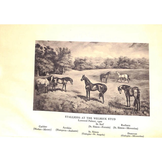 Paper "Memories of Racing & Hunting" 1935 the Duke of Portland For Sale - Image 7 of 11
